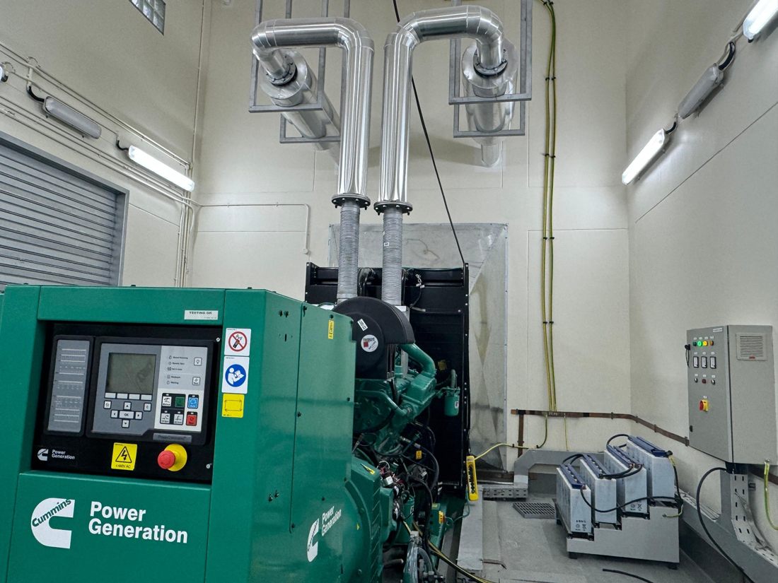 Generator exhaust systems